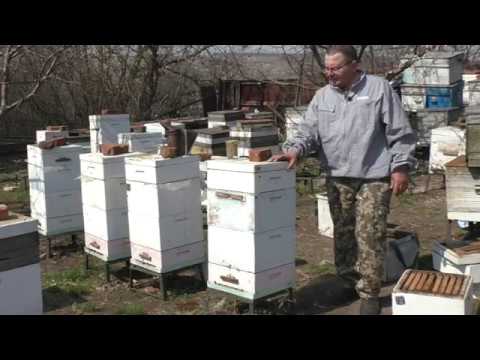 Немного об ульях Альпиец, или Роже Делона.