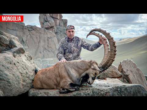 Trophy Hunting in Mongolia 2. Khangai Argali, Ibex and Wolf (2025) [4K] #trophyhunting