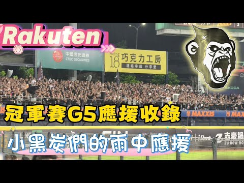 1027 樂天洲際外野應援收錄 你今天在這裡了嗎 #cheerleader #樂天桃猿 #總冠軍賽 