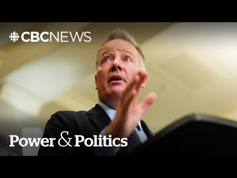 Canada got 'lazy' buying U.S. military gear: MP in charge of defence purchases | Power & Politics