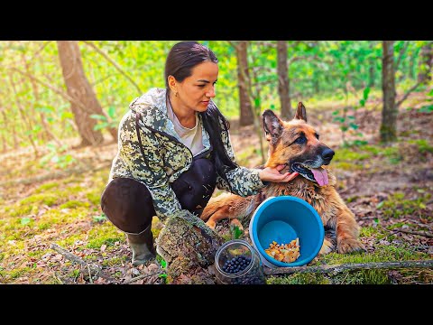 The FOREST WILL feed you and you don't need shops.🍄🌲Documentary about the LIFE of a family