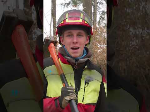 Vom Abi zum eigenen Unternehmen: Phillip der Drexler! 💪🌲