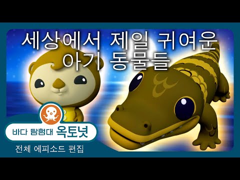 바다 탐험대 옥토넛 - 🦦 세상에서 제일 귀여운 아기 동물들 🐬 - 150분+ 편집 - 모음집