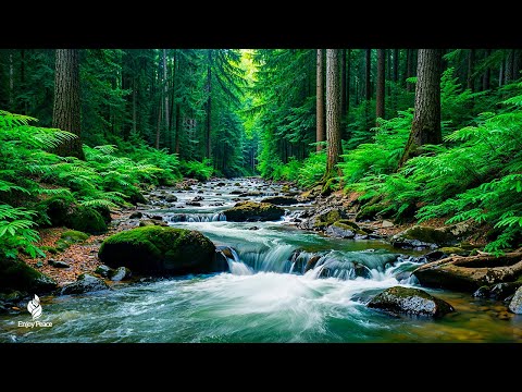 Relax and Enjoy – Healing Music for Your Heart and Soul