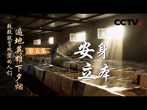 《遍地英雄下夕烟——致敬脱贫攻坚的人们》第五集 安身立本 | CCTV