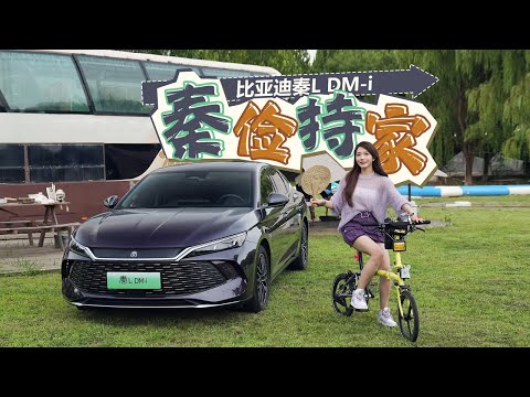 车若初见 | 初晓敏 | 秦俭持家 试驾比亚迪秦L DM-i  #byd #比亚迪 #比亚迪秦