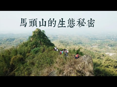 【環境開發】馬頭山的生態秘密｜反對設置掩埋場的理由(我們的島 第943集 2018-02-26)