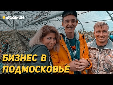Бизнес в Подмосковье. Подписчики из Луховиц