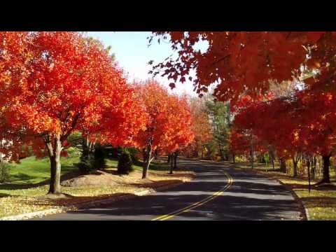 Briarwood Coachlight, Fall 2013