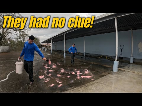 Extreme Parking Lot Makeover! Pressure Washing Years Of Dirt & Grime