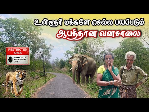 Is there such a forest in Tamil Nadu? | DANGEROUS RODE OF TAMILNADU KADAMBUR | SATHYAMANGALAM