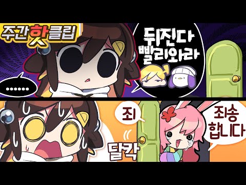 【 탬탬버린／8월 4주차 하이라이트! 】 -8월 4주차에 있었던 핫클립들을 모아놓은 주간핫클립!