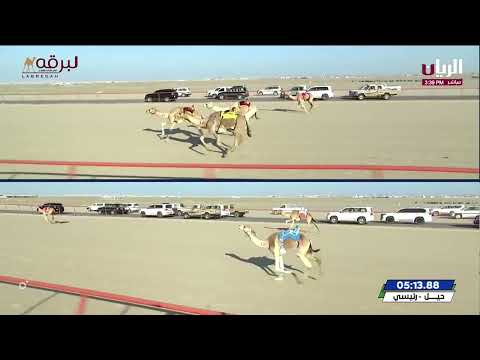 ش3 نجاح لـ أحمد مطر ماجد الخييلي (بطولة الكويت الدولية 8-2-2024) السيف الفضي للحيل عام 12:37:72