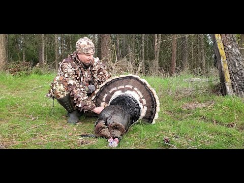 2023 Washington Spring Turkey Recap - Part 1