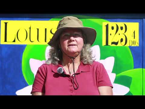 Honoring Cambridge Innovators Past + Present with a New Mural