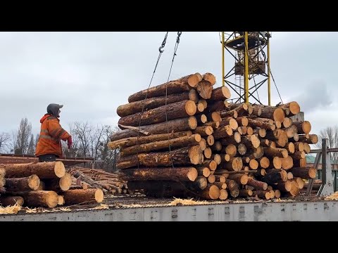 MEGA Professional Wood Chipping 24/7