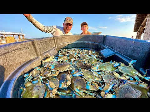 THE MOST AMAZING CRABBING I'VE EVER DONE! {Catch Clean Cook} Florida vs Georgia Crabs