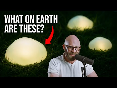 The Mystery of the Oakville Blobs.