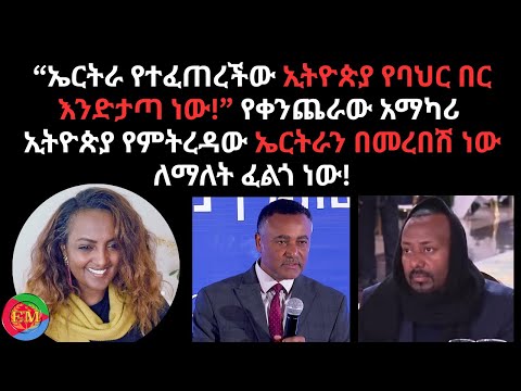 ኢትዮጵያ የምትረዳው ኤርትራን በመረበሽ ነው ለማለት ፈልጎ ነው!