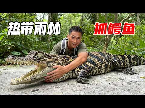 亚马逊热带雨林野外生存探索第一天：河道里面鳄鱼泛滥到处都是，带着工具抓鳄鱼，平头哥一晚上收获颇丰【户外平头哥】