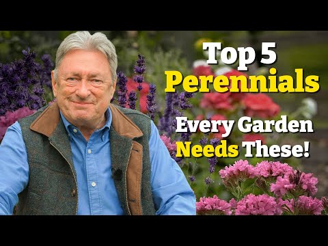 My 5 Must-Have Perennials (Perfect for Any Garden!)