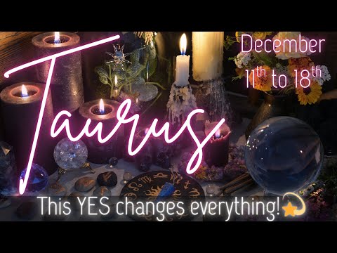 Taurus: Say YES To This, Taurus! ✨ ~ Taurus December Tarot 2025