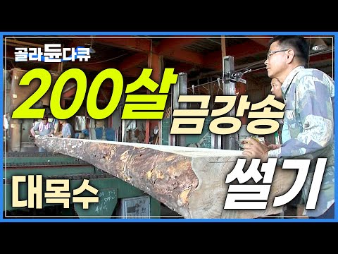 '두 번은 없다' 한 그루에 차 한 대 값하는 최고의 목재 썰기│콘크리트 시대를 살아가는 목수가 한옥을 짓는 과정│극한직업│#골라듄다큐