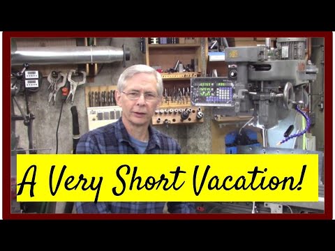 Winky's Vacation Backfires