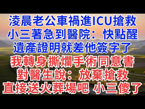 淩晨老公車禍進ICU搶救，小三著急到醫院：快點醒遺產證明就差他簽字了，我轉身撕爛手術同意書，對醫生說：放棄搶救，直接送火葬場吧，小三傻了！#為人處世#正能量#故事分享#生活經驗#情感