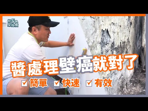 壁癌處理DIY簡單又有效｜矽酸質要怎麼做？