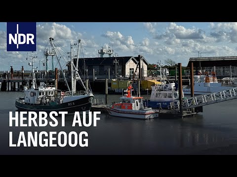 Insulaner unter sich: Langeoog nach Saisonschluss | Nordseereport | NDR Doku