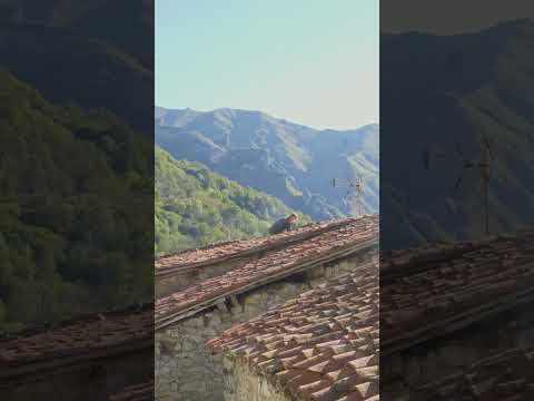 my autumn #guitar #relaxing