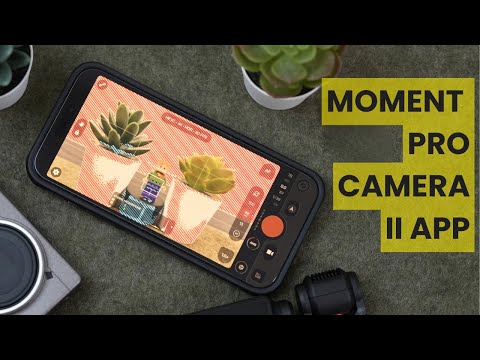 Just a Dad With an iPhone — Why I use the Moment Pro Camera II app