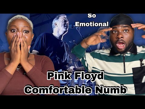 Pink Floyd - Comfortably Numb ( Pulse Concert ) REACTION!!! | Made US so EMOTIONAL😭