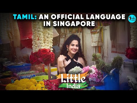 Singapore’s Little India | BEST Indian Food & Culture In Singapore | Little India Ep 1 | Curly Tales