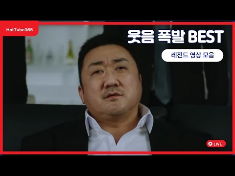돌고래유괴단 레전드 모음📺 웃음+감성 폭발 BEST 명장면!