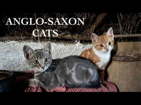 Taming Feral Kittens to Tackle the Mice on my Early Medieval Farmstead - Anglo-Saxon Cats