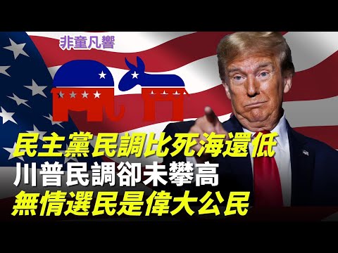 Democratic support hit a new low, but why hasn't Trump's poll numbers reached a new high? Because...