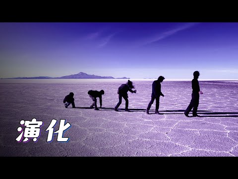 你相信进化论吗？为何智人“所到之处，寸草不生”呢？【宇宙自然生命简史】