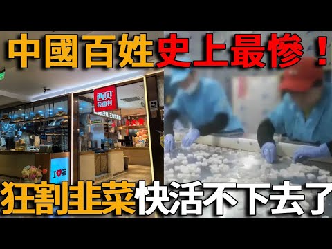 中國「慘」爆了！點外賣全是預製菜，掏錢吃的是藥水蝦仁，穿的是細菌內褲，連火鍋鍋底都有人撒尿！百姓被割得快活不下去了#峽谷課代表#翻車#中國#預製菜#割韭菜
