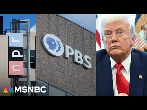 Attempts to cut public media fail because ‘people think that it’s worth it’: Fmr NPR President