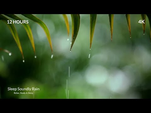 🔴 Soft Rain & Peaceful Piano Music ☔ Stress Relief, Study, Meditation, Deep Sleep