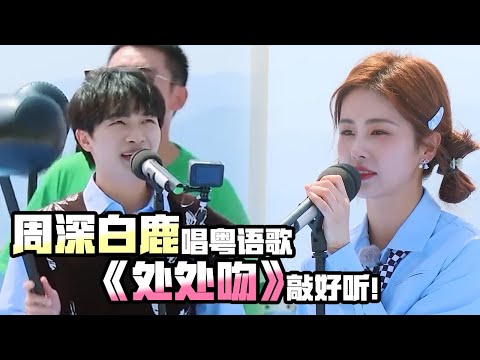 周深白鹿猜歌环节杀疯了！唱杨千嬅粤语歌《处处吻》超好听！白鹿你真的不考虑当歌手吗？#周深 #白鹿