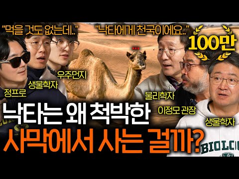 거대한 낙타가 굳이 먹을 것도 없는 사막에서 살아가는 이유 (신기한 진화..) | 과학을 보다 EP.107