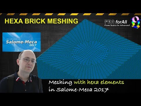 [Salome Meca Tutorial] Meshing with Hexa Elements