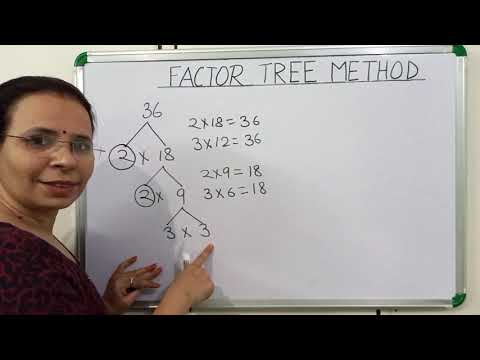 Factor Tree Method || How to find prime factors using factor tree method || Planet Maths