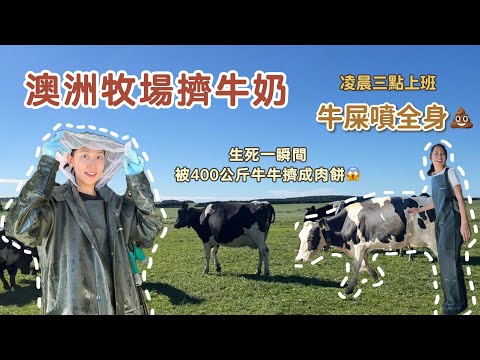 澳洲打工度假🇦🇺｜月薪十萬 牧場擠牛奶 集簽工作🐄 全身牛屎月薪十萬你賺嗎 Working Holiday Australia｜Hi I'm Emma