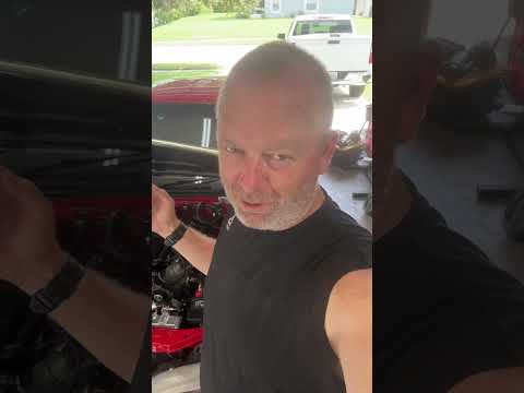 Who can guess right?