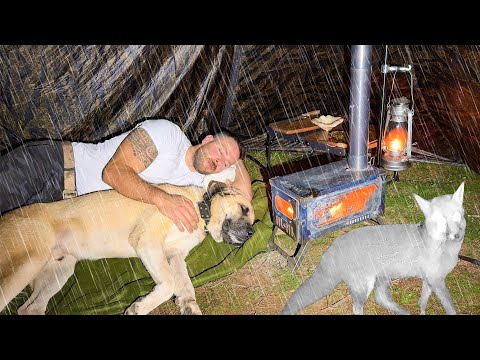 Camping in Heavy Rain and Rainstorm with My Dog! - Hot Tent Rain Camping