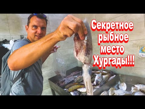 Рыбный рынок Хургады ОТДЫХАЕТ! Секретное рыбное место от Антона! Египет.